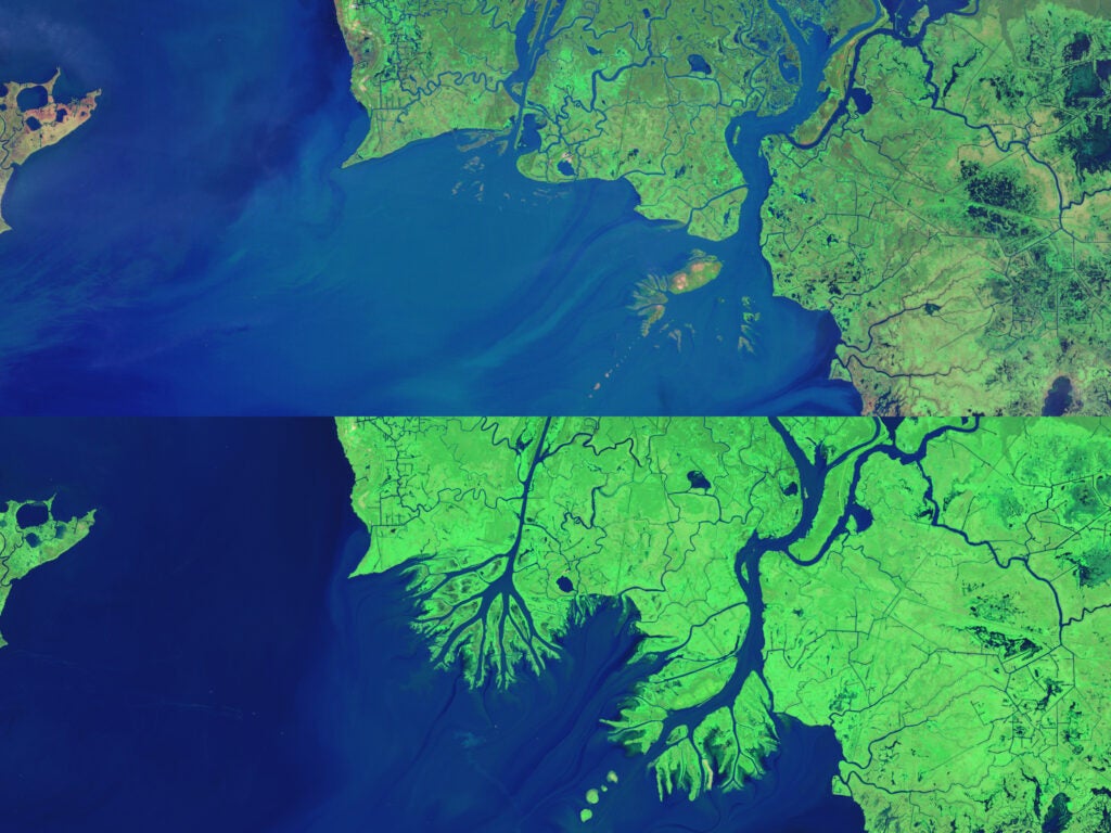 As other areas of Louisiana get swallowed up by water, new land is forming in Atchafalaya Bay. The NASA Earth Observatory <a href="http://earthobservatory.nasa.gov/Features/WorldOfChange/wax_lake.php?">compiled</a> images of the delta from 1984 (top image) to 2014 (bottom image) to show the gradual formation of land.