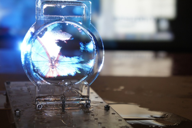 Video: The World’s Thinnest Transparent Display is a Soap Bubble