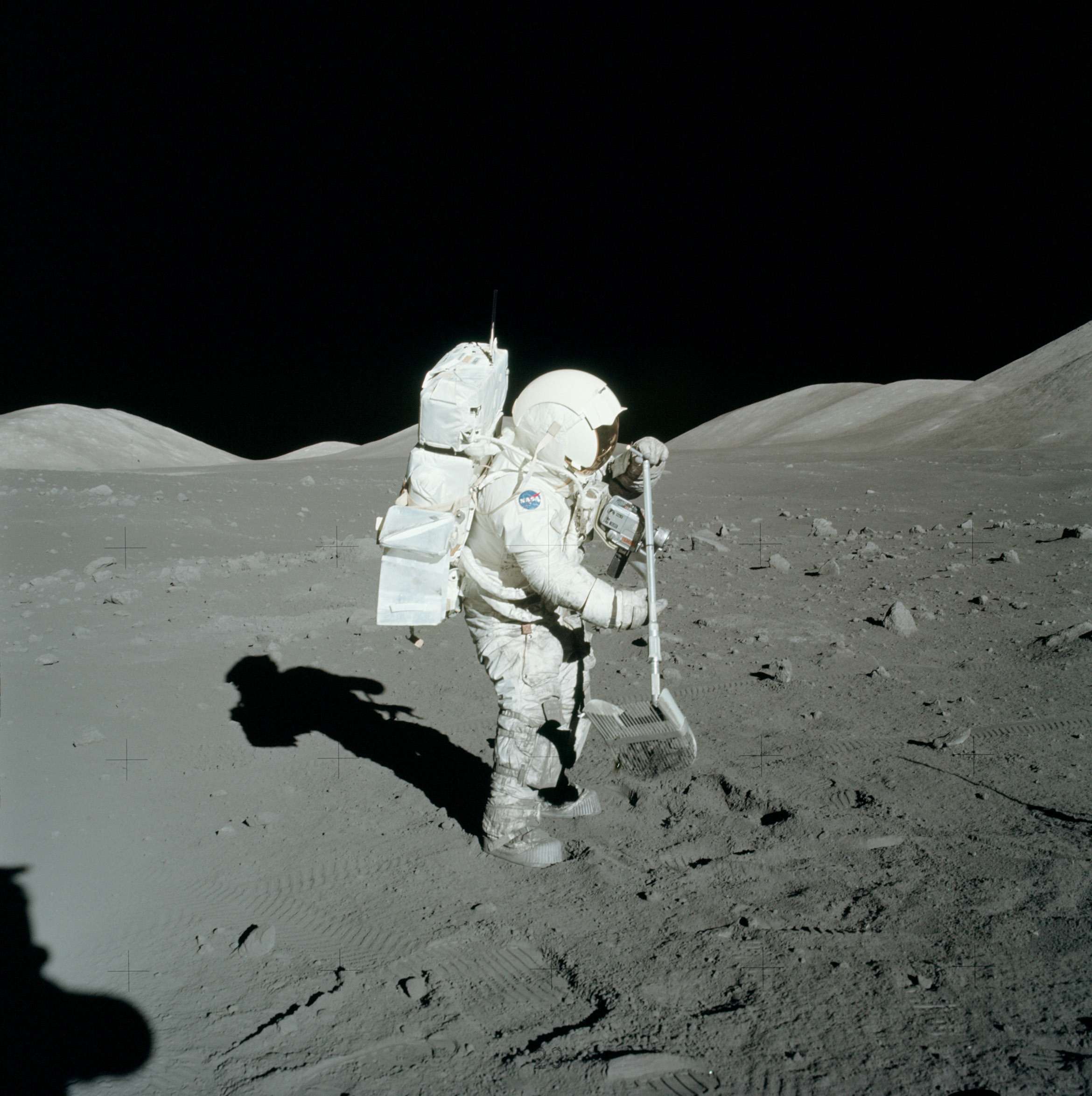 Why Did Apollo Lunar Samples Have Amino Acids In Them?