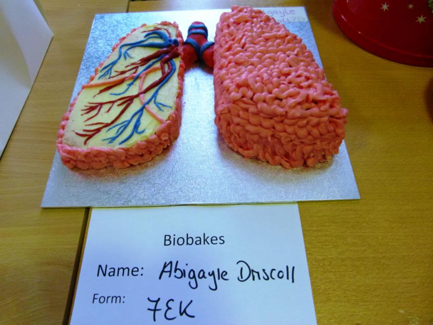 &gt; Many congrats to Abigayle Driscoll, the winner of <a href="https://twitter.com/hashtag/biobakes?src=hash">#biobakes</a>! Her winning entry is a set of lungs <a href="http://t.co/a40trz9kPj">pic.twitter.com/a40trz9kPj</a>
&gt; 
&gt; -- PhysiologicalSociety (@ThePhySoc) <a href="https://twitter.com/ThePhySoc/status/523135776218152960">October 17, 2014</a> The Physiological Society (@ThePhysSoc) tweeted this image of the winner of their #biobakes contest: a pair of edible human lungs. You can see more images from the contest <a href="https://twitter.com/search?q=%23biobakes&amp;src=hash&amp;mode=photos">here</a>.