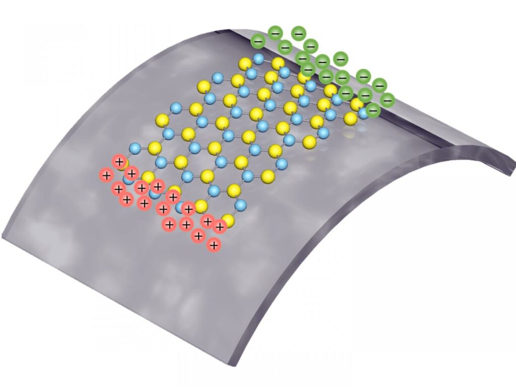This is a cartoon showing positive and negative polarized charges are squeezed from a single layer of atoms of molybdenum disulfide (MoS2), as it is being stretched.
