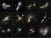 One of Zooniverse's projects examines the nature of spiral galaxies, particularly those without central bulges at the center.