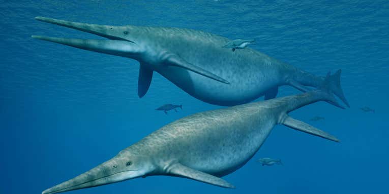 These ancient, swimming reptiles may have been the biggest animals of all time