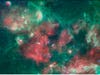 Captured in infrared by NASA's Spitzer Space Telescope, <a href="http://www.nasa.gov/mission_pages/spitzer/multimedia/pia15253.html">this image</a> of Cygnus X (part of the constellation Cygnus, or the Swan) is made beautiful by massive stars that have blown huge bubbles in the gas and dust in the region. This rather violent process causes both star birth and star death--and makes for a really nice image. Since the human eye can't see light in these wavelengths, the colors have been assigned to make them visible to us. The shortest wavelengths are blue, the longer red, and the mid-range light is green.