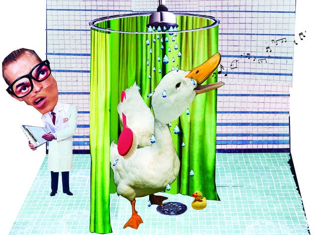 duck in a shower