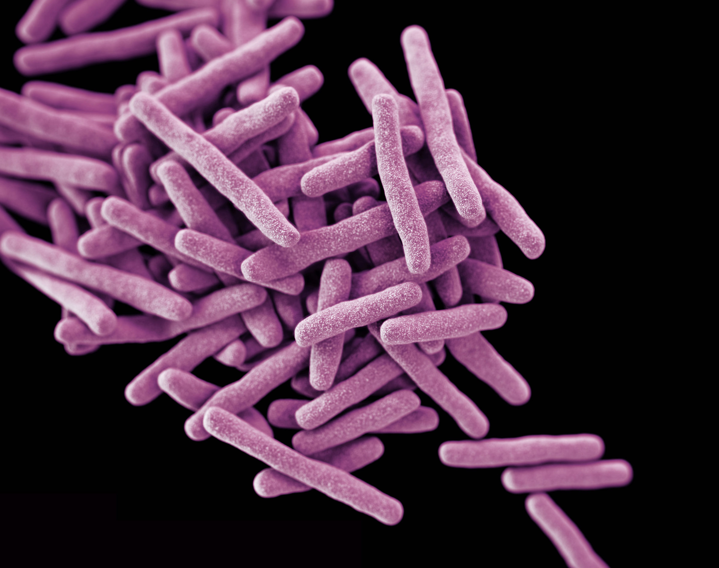 Editing The Genes Of Superbugs To Turn Off Antibiotic Resistance