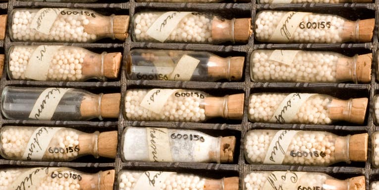 FDA May Start Regulating Homeopathy