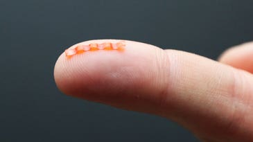 Tiny, Soft Robotic Caterpillar Creeps, Climbs, And Crawls