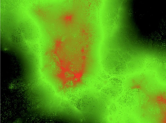 Inside The Largest Simulation Of The Universe Ever Created