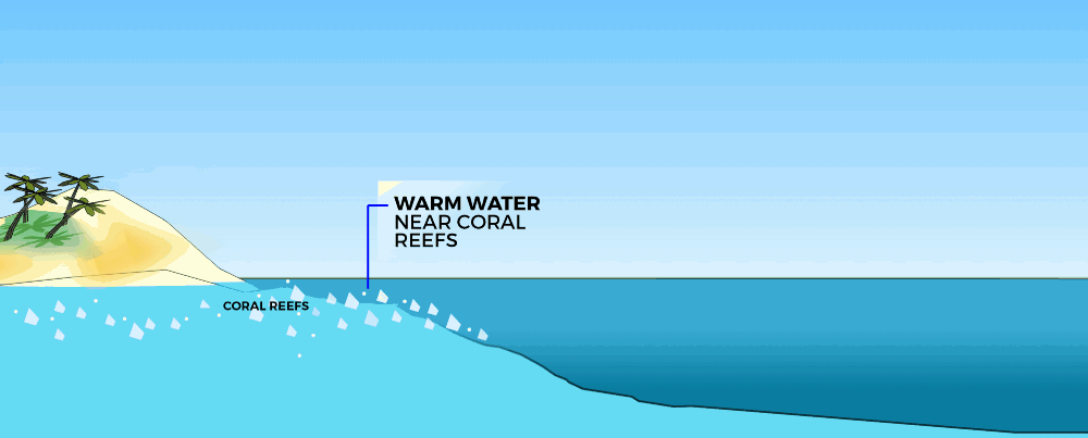 Ehsani’s plan for pumping cool water to overheated coral reefs