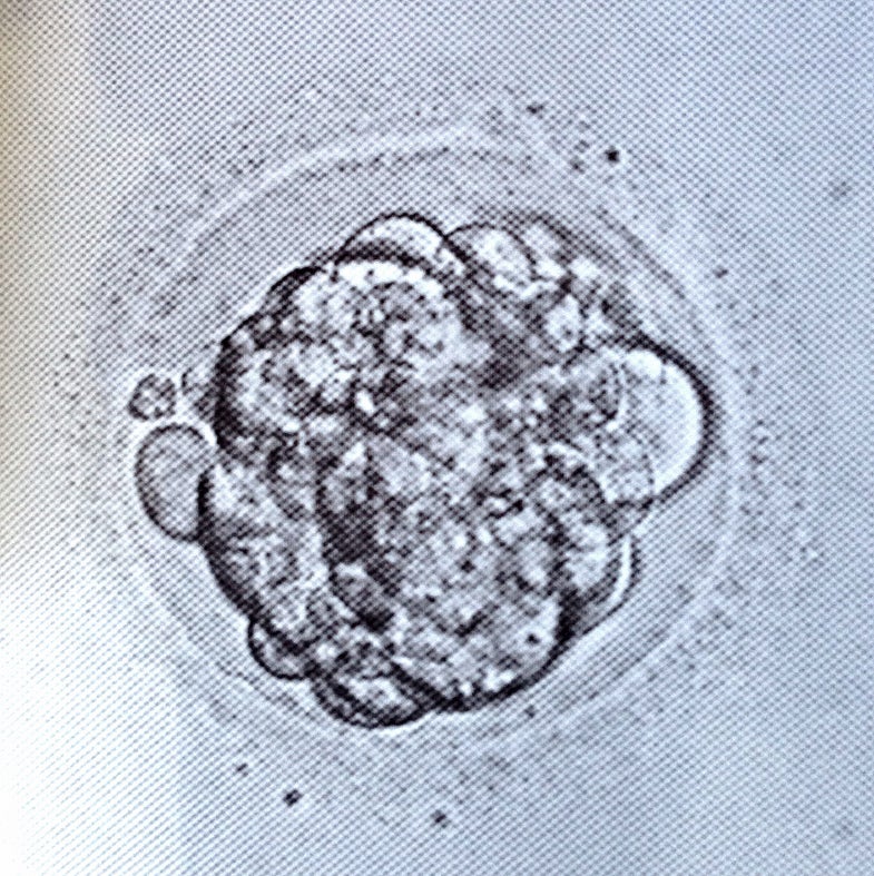 Biology photo