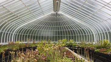 Ole! Spanish Greenhouses Make Climate Less Caliente