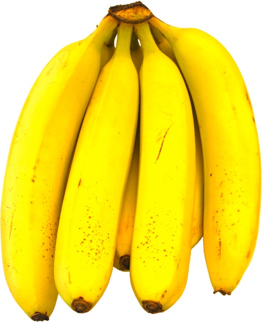 Most organic material, including fruit, contains a little bit of radiation. The banana equivalent dose -- a whimsical unit used by biologists -- is defined as the amount of radiation a person is exposed to when he or she eats a banana. But before you organize a ban on bananas, don't worry: it's not much, and it's definitely not enough to be harmful.