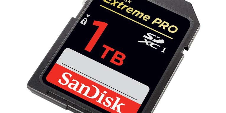 SanDisk Just Revealed a Monster 1-Terabyte SD Memory Card