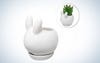 Bunny Rabbit Mini Ceramic Flower Pot