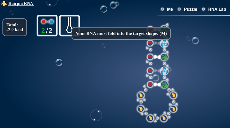 A simple RNA puzzle in EteRNA, an online game built by game developers and molecular biologists.