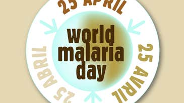 Malaria, Mosquitoes, and Microbiota Control