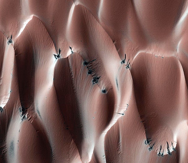 The dark spots on the dunes are where frost is subliming to reveal darker basaltic sand. Because these dunes have a number of similarities to sand dunes on Earth, they are helping scientists decipher weather conditions on Mars, specifically wind direction when the dunes were formed as well as recent changes in the region's wind patterns.