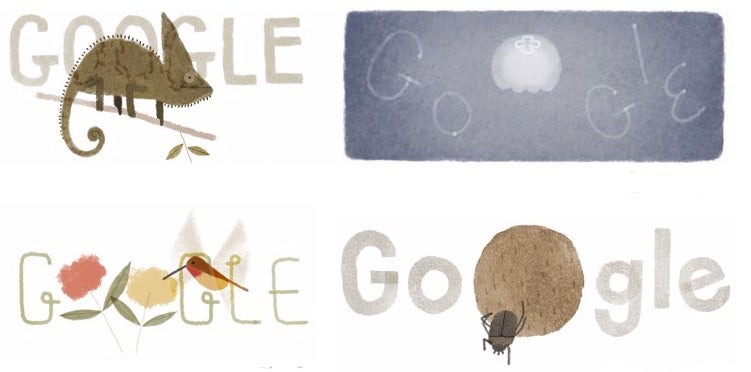The tiny critters of land, air, and sea made an appearance in 2014's Earth Day doodle.