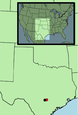 Stepanian and his team monitored bat populations at Bracken Cave (black dot) near San Antonio, Texas using a nearby weather surveillance radar (red dot).