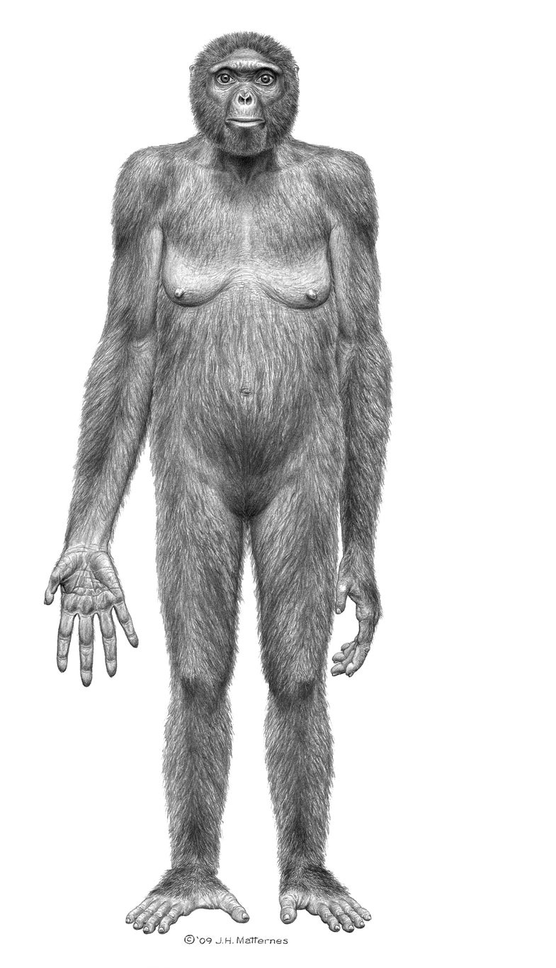 Hello, Ardi: New Oldest Humanoid Fossil A Million Years Older Than Lucy