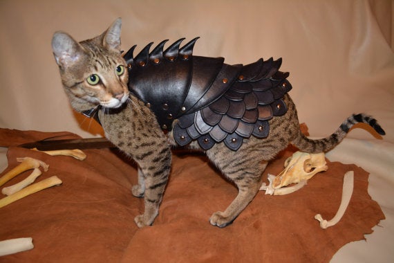 The year: 2094. Nuclear war has devastated the planet. Felines have inherited the Earth. One rides on into danger.