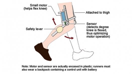 Robotic Knee Helps Perfectly Healthy Runners Run Even Better
