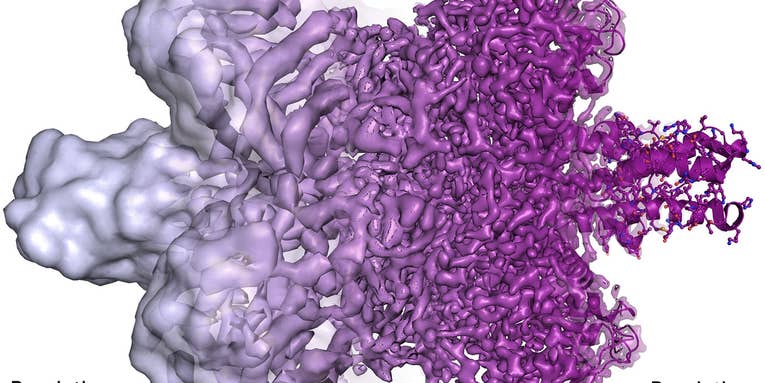A super chill microscopy method just nabbed a Nobel prize