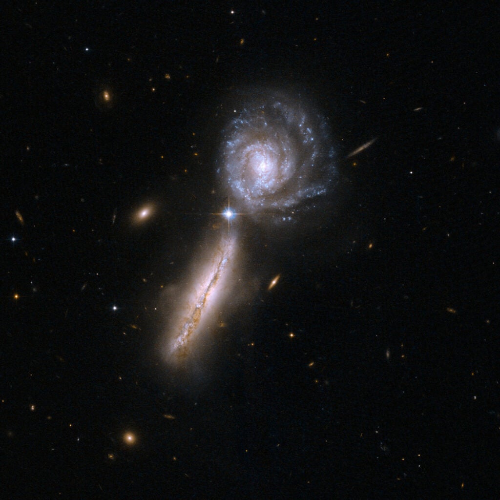UGC 9618, also known as VV 340 or Arp 302 consists of a pair of very gas-rich spiral galaxies in their early stages of interaction: VV 340A is seen edge-on to the left, and VV 340B face-on to the right. An enormous amount of infrared light is radiated by the gas from massive stars that are forming at a rate similar to the most vigorous giant star-forming regions in our own Milky Way. UGC 9618 is 450 million light-years away from Earth, and is the 302nd galaxy in Arp's Atlas of Peculiar Galaxies.