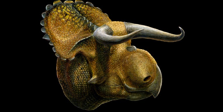 New Dinosaur Species Found In Utah Totally Looks Like A Cow