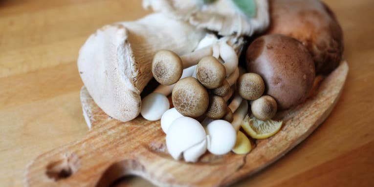 Microwaving mushrooms might be the healthiest way to eat them, but at what cost
