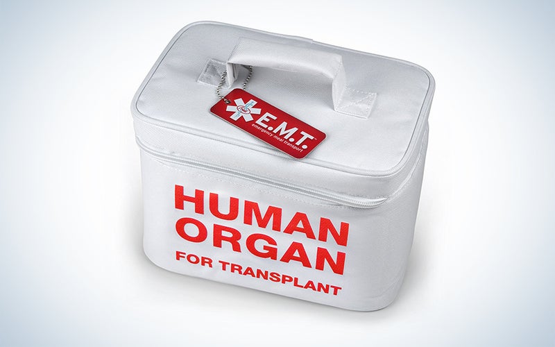 Human organ lunch bag