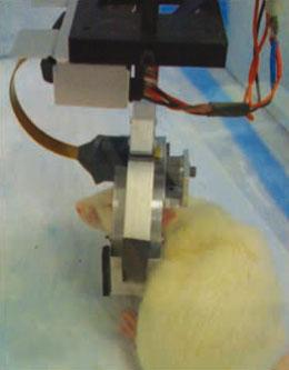 The RatCAP wearable PET scanner lets lab rats move around while scientists monitor their brain activity.