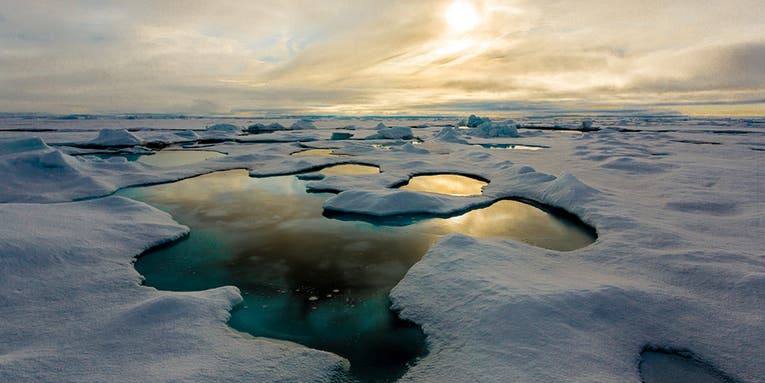 Good job: Arctic sea ice is full of our junk plastic