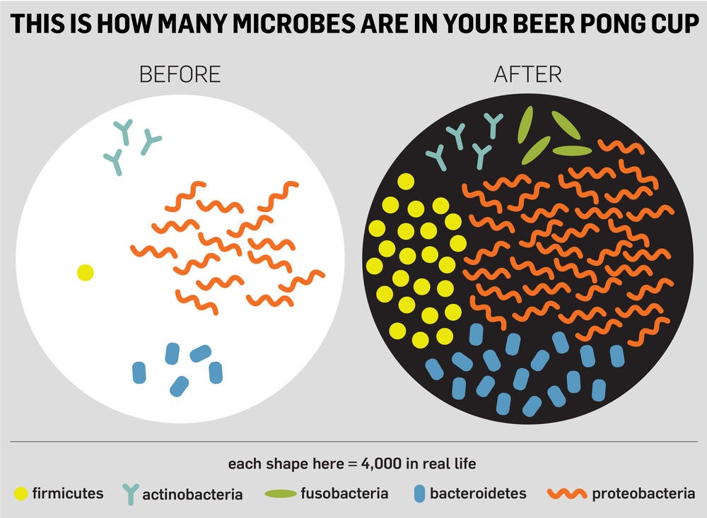 beer pong microbes