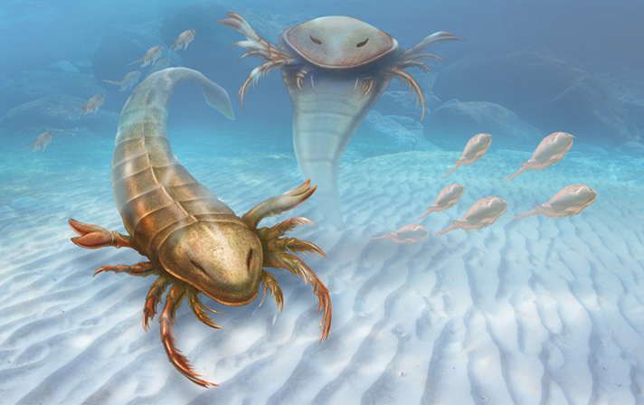 Fossilized Human-Sized Sea Scorpion Found In Meteorite Crater