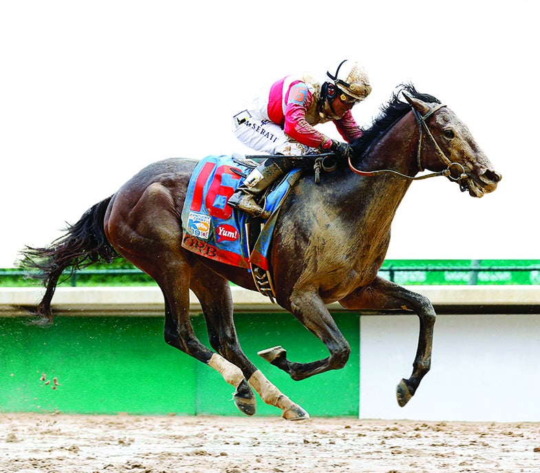 Orb, with Joel Rosario up, captures the 139th running of the Kentucky Derby at Churchill Downs in Louisville, Kentucky, on Saturday, May 4, 2013. (Ron Garrison/Lexington Herald-Leader/MCT)