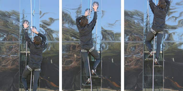 Scale A Glass Wall With Gecko-Inspired Adhesive On Your Hands