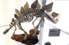 This dino skeleton shows off Makerbot's new composite PLA filaments