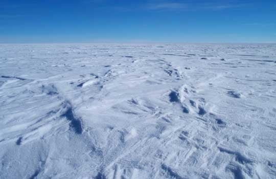 Thousands Of Species Found In Lake Vostok Ice