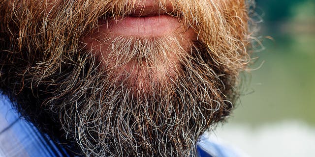 Beards Are Great At Trapping Icky Bacteria