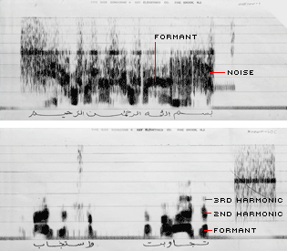 BIN LADEN, THROUGH THE NOISE, THREATENING MORE OF THE SAME<br />
The bottom spectrogram is a clean bin Laden sample taken from an ABC News interview. Note the distinct vocal formants and their harmonics arcing right-to-left across the page. The top graph is of the dirty November telephone recording, in which formants are obscured by background noise -- so obscured, Tom Owen says, that no computer could ID the voice.