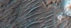 This image of the Martian surface from the <a href="https://www.popsci.com/best-images-mars-so-far/">Mars Reconnaissance Orbiter</a> reveals strange sand dunes. Scientists do not yet know what process formed the dusty ridges..