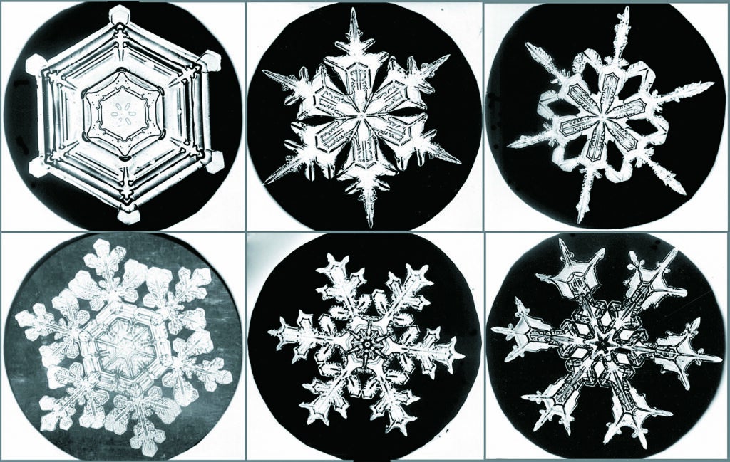 These might not look like much, but they were photographed between 1885 and 1931. Wilson Bentley was a farmer in Jericho, Vermont, and was the first to photograph snowflakes, which made people interested in the tiny pieces of art. He then spent 46 years photographing them, capturing more than 5,000 crystals.
