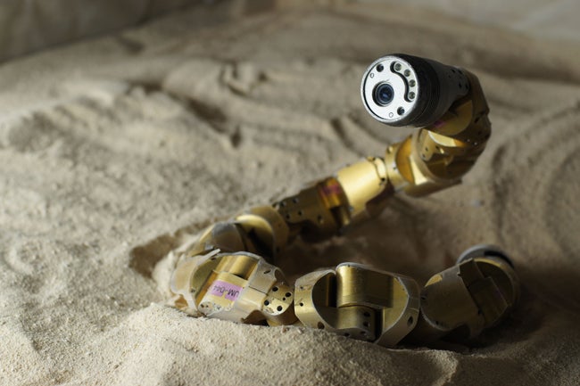 A robot snake has helped scientists figure out the precise motions sidewinding rattlesnakes use to scale steep sandy hills. By mimicking the sidewinders actions closely, the robot can slither over unstable mounds without slipping. Scientists at Carnegie Mellon University have been developing sidewinding robots for a number of years for various applications, including search-and-rescue missions and surgery. This new insight can help sidewinding robots become more efficient and versatile.