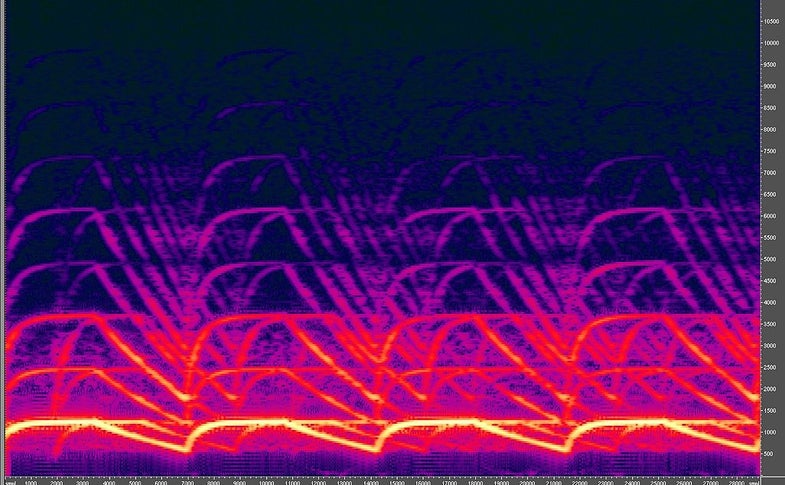 Spectrogram of a police siren