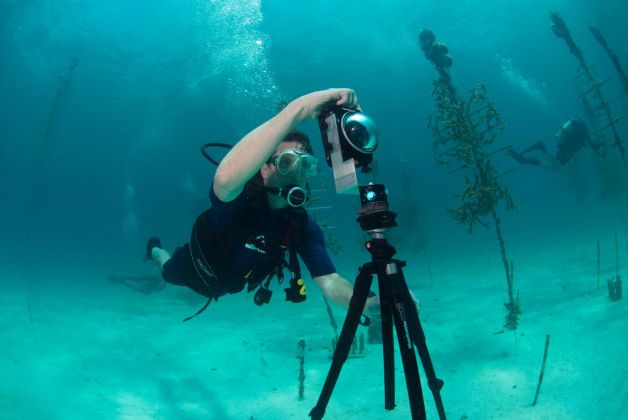 Most of us know that Google Street View really handy for scoping out your new neighborhood or <a href="http://mashable.com/2013/06/10/google-street-view-embarrassing/">catching questionable acts</a>. But Google is now teaming up with researcers at the National Oceanographic and Atmospheric Administration to bring the 360-degree imaging technology to underwater ecosystems in the Florida Keys. The images will help researchers study the effects of warming on the delicate coral ecosystems, and also be awesome for those of us taking an underwater glimpse by surfing the web.