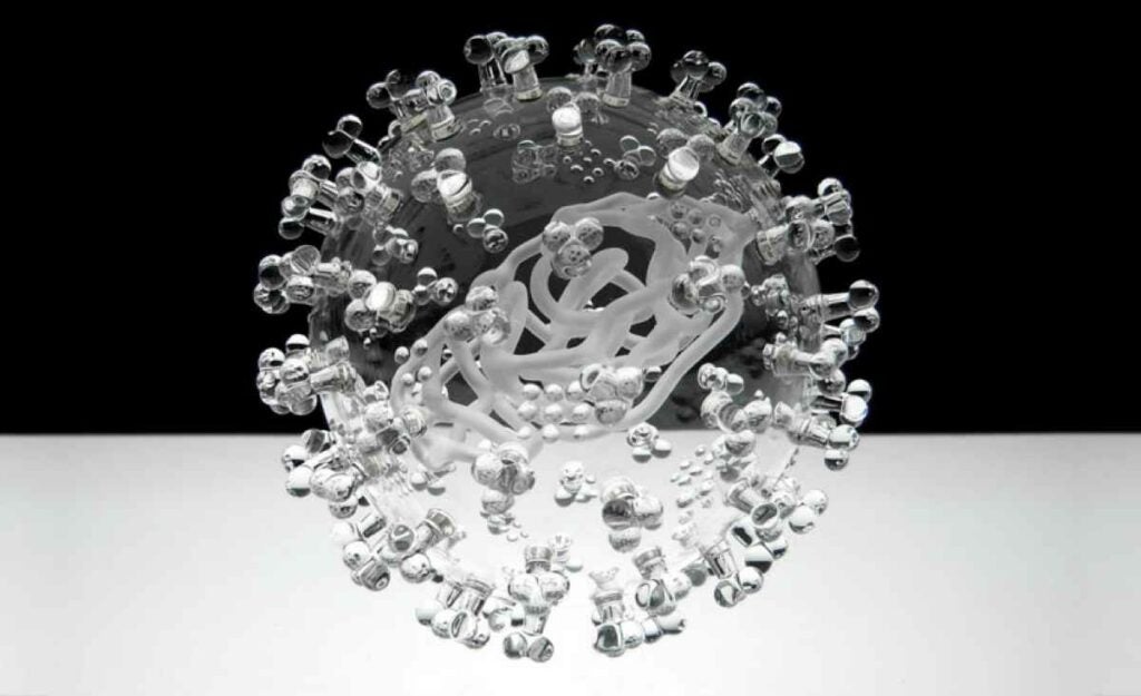 Artist <a href="http://www.lukejerram.com/">Luke Jerram</a> makes blown-glass sculptures of viruses that are up to 1 million times larger than the real thing. Here's swine flu, as seen after the sneeze of a giant glass pig. <em>From January 3, 2014</em>