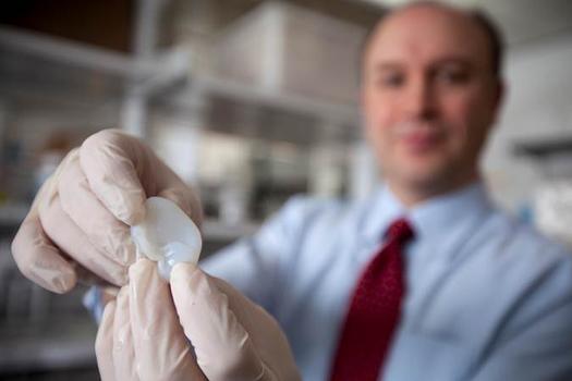 Cornell Researchers Grow A Realistic Bio-Engineered Human Ear