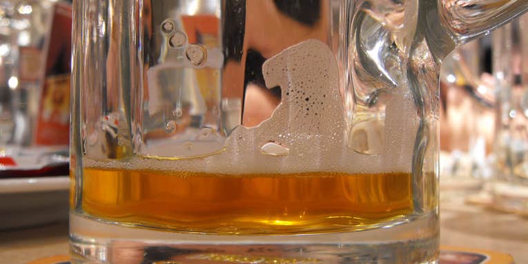 Plastic Microparticles Found In Beers